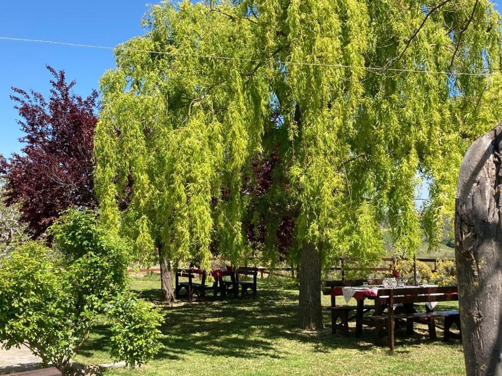 Agriturismo Il Portico Penne Dış mekan fotoğraf